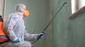 Best Forensic Mold Investigation  in Terrell Hills, TX